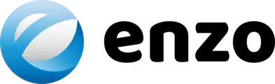 Logo da Enzo Internet